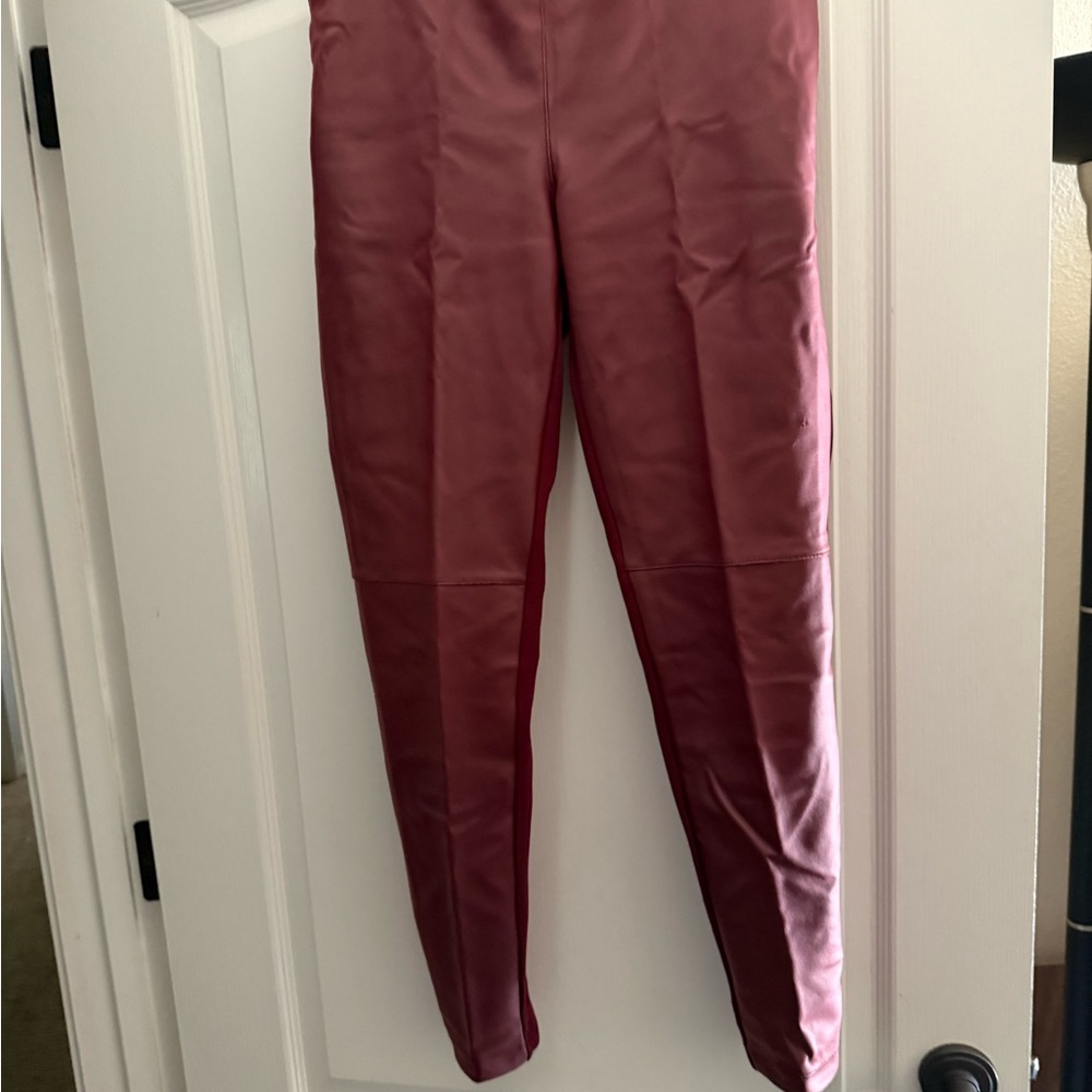 Stylish Burgandy Pants
